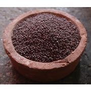 Горчичное семя коричневое / Горчица черная - 100 г (Индия)