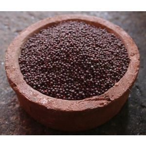 Горчичное семя коричневое / Горчица черная - 1000 г (Индия)