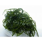 Морская капуста (Ламинария) сублимированная - 50 г (Китай)