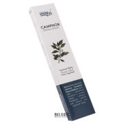 Ароматические палочки "Camphor Premium Masala" Камфора Aasha herbals, упаковка 10 шт.